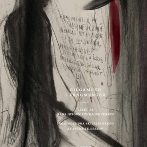 Gilgamesh i fragmenter